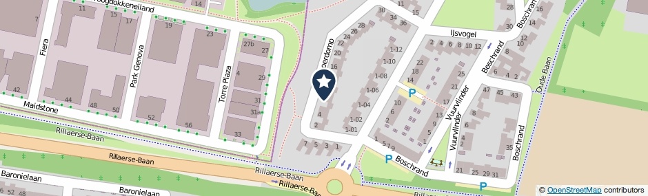 Kaartweergave Roerdomp 8 in Goirle