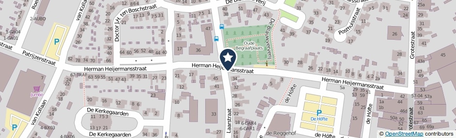 Kaartweergave Herman Heijermansstraat in Goor