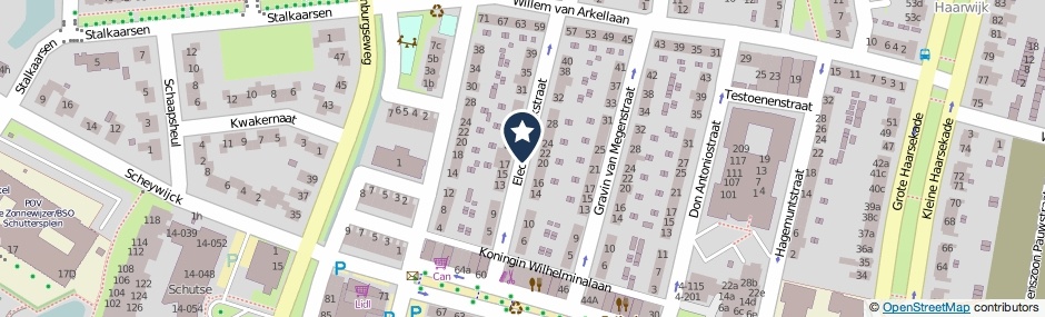 Kaartweergave Elect Van Luikstraat in Gorinchem