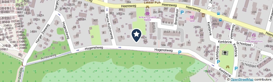 Kaartweergave Hogenolweg in Groet