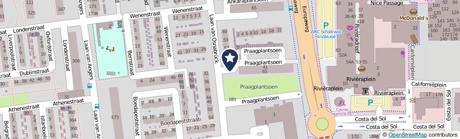 Kaartweergave Praagplantsoen in Haarlem