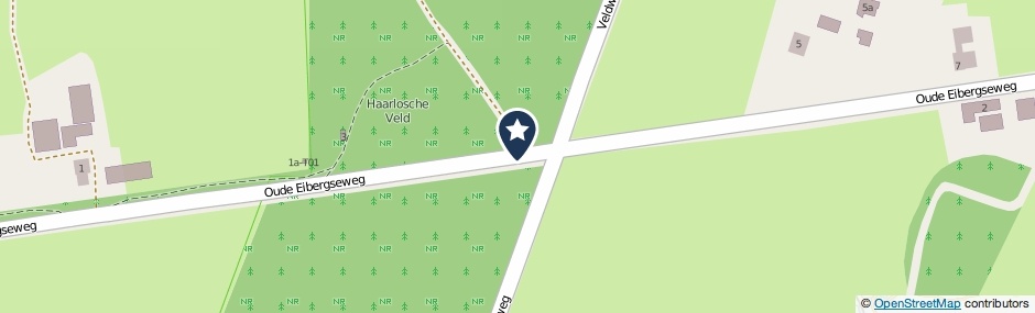 Kaartweergave Oude Eibergseweg in Haarlo
