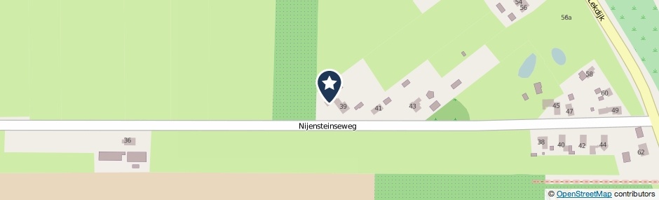 Kaartweergave Nijensteinseweg 37 in Hagestein