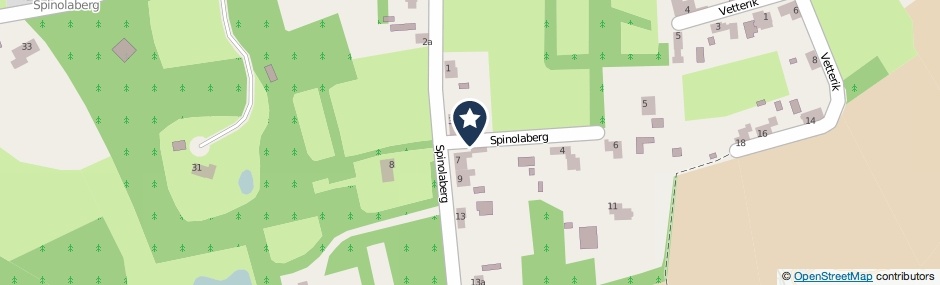 Kaartweergave Spinolaberg in Halsteren