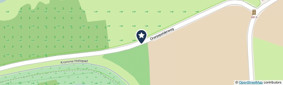 Kaartweergave Oranjepolderweg in Hank