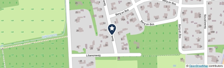 Kaartweergave Libanonweg in Hattem