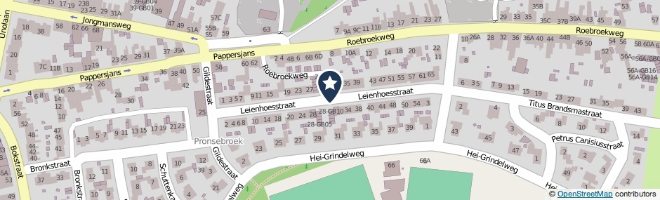 Kaartweergave Leienhoesstraat in Heerlen