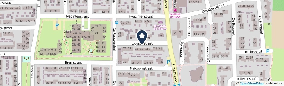 Kaartweergave Ligusterstraat in Heteren