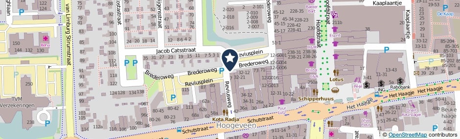 Kaartweergave Reviusplein in Hoogeveen