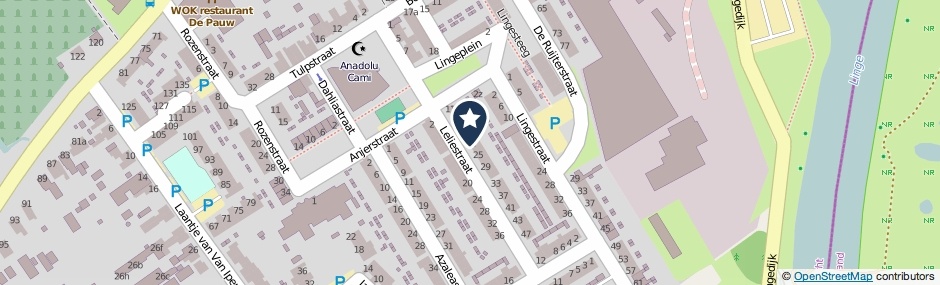 Kaartweergave Leliestraat 21 in Leerdam