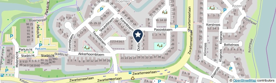 Kaartweergave Dotterbloem in Leiden