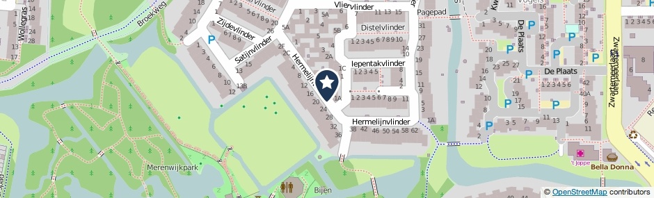 Kaartweergave Hermelijnvlinder in Leiden