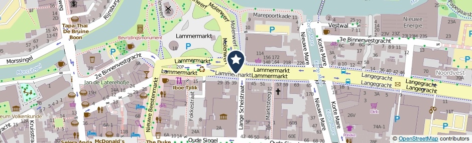 Kaartweergave Lammermarkt in Leiden