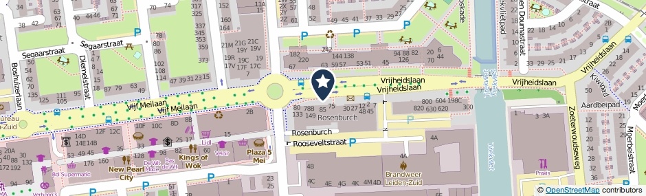 Kaartweergave Rosenburch in Leiden