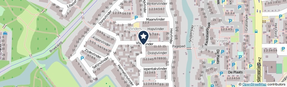 Kaartweergave Vliervlinder in Leiden