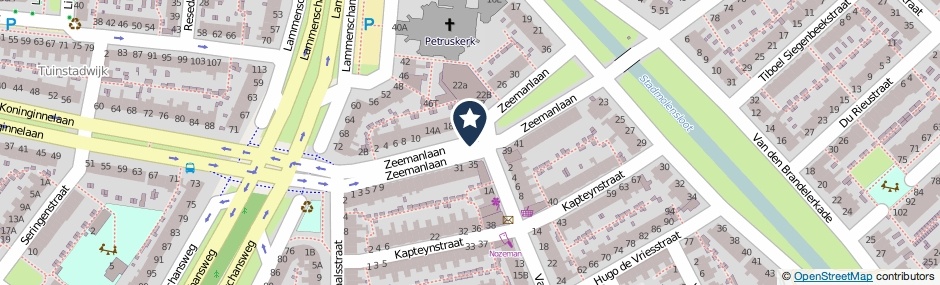 Kaartweergave Zeemanlaan in Leiden