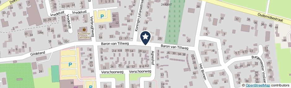 Kaartweergave Baron Van Tillweg in Lienden