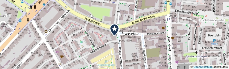 Kaartweergave Bogaardenstraat 8-D02 in Maastricht