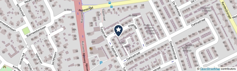 Kaartweergave Irisstraat 21 in Malden