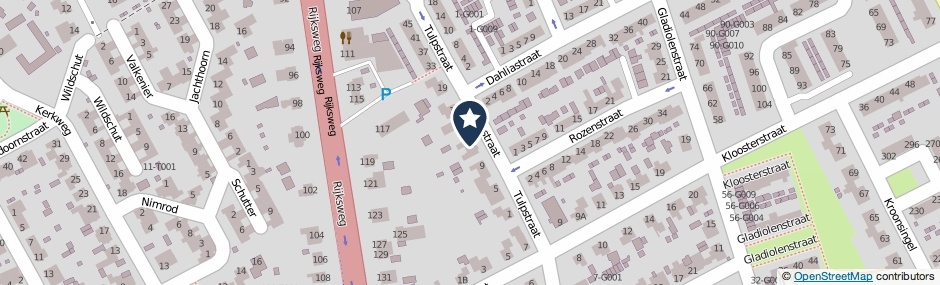 Kaartweergave Tulpstraat 13 in Malden