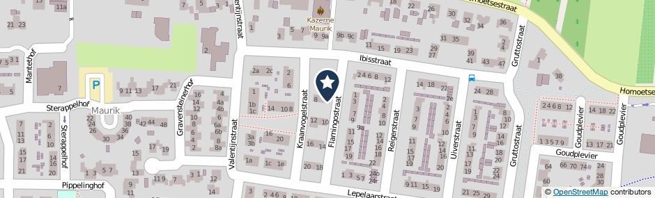 Kaartweergave Flamingostraat 6 in Maurik
