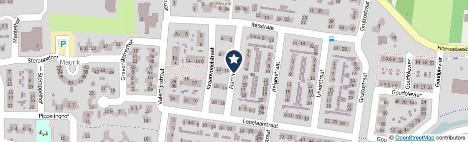Kaartweergave Flamingostraat in Maurik