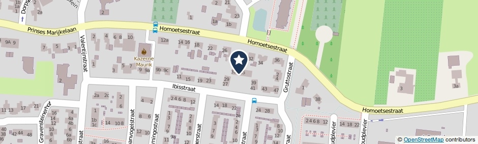 Kaartweergave Ibisstraat 33 in Maurik