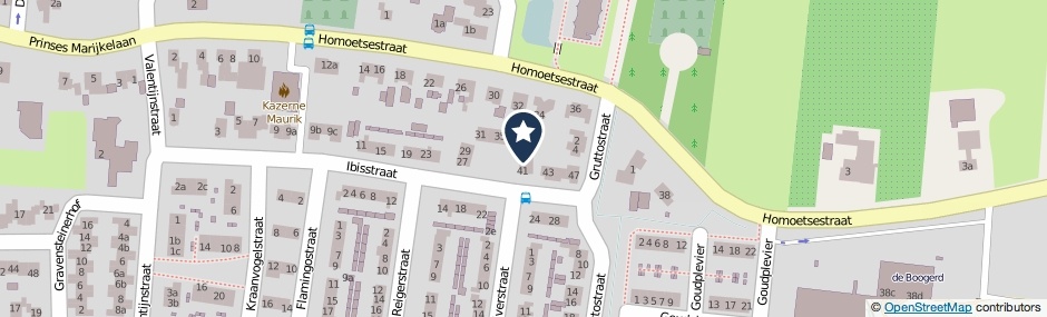 Kaartweergave Ibisstraat 39 in Maurik