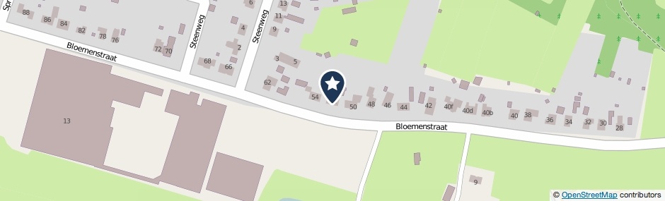 Kaartweergave Bloemenstraat 52 in Milsbeek