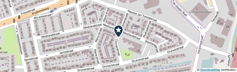 Kaartweergave Colmanstraat in Naaldwijk