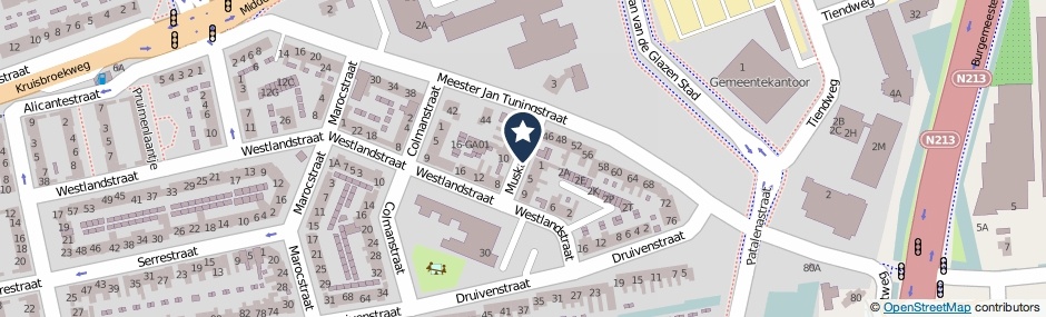 Kaartweergave Muskaatstraat in Naaldwijk
