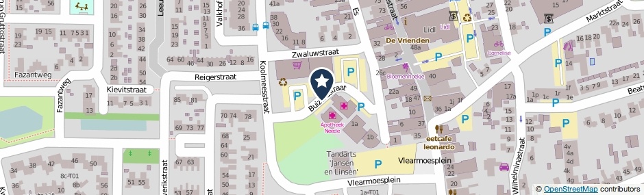 Kaartweergave Buizerdstraat in Neede