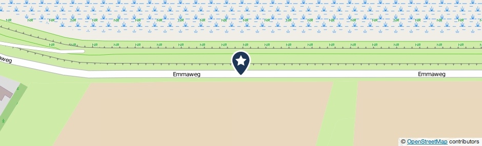 Kaartweergave Emmaweg in Nieuw Namen