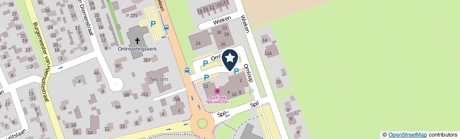 Kaartweergave Omloop in Nieuwleusen