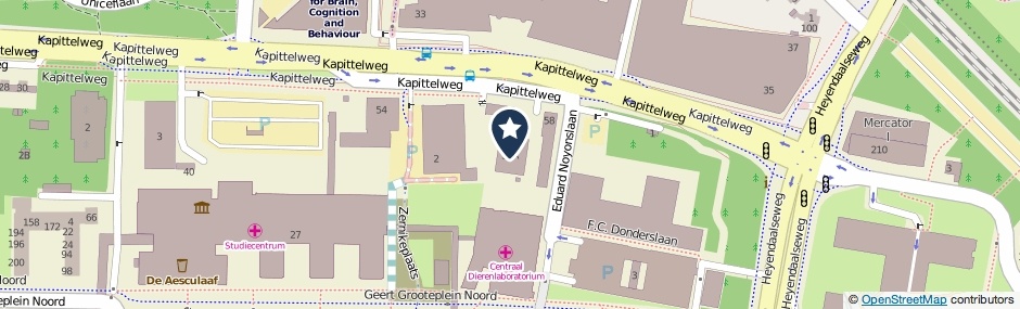 Kaartweergave Kapittelweg 58-A in Nijmegen