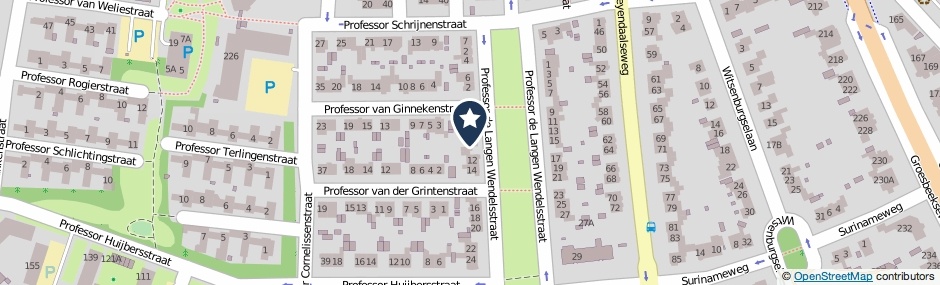 Kaartweergave Professor De Langen Wendelsstraat 10 in Nijmegen
