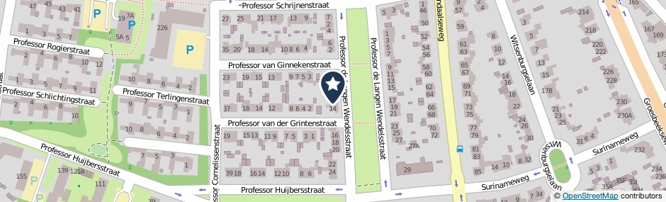Kaartweergave Professor De Langen Wendelsstraat 12 in Nijmegen