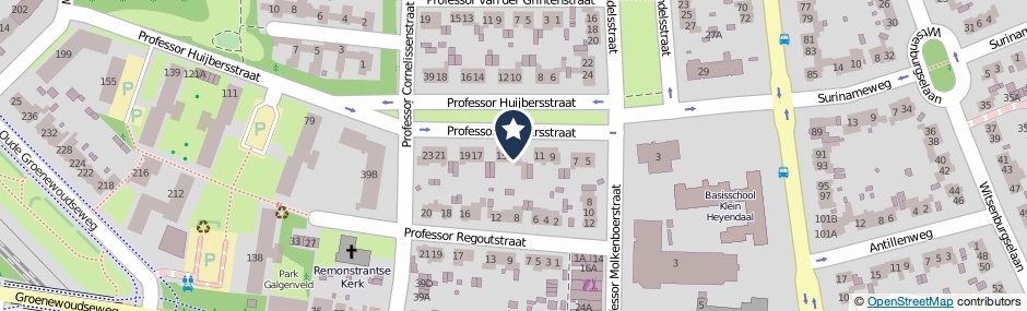 Kaartweergave Professor Huijbersstraat 13 in Nijmegen