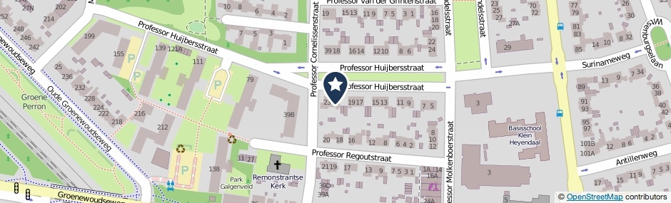 Kaartweergave Professor Huijbersstraat 21 in Nijmegen