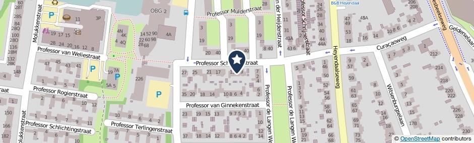 Kaartweergave Professor Schrijnenstraat 11 in Nijmegen