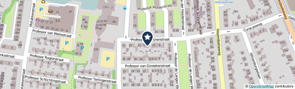 Kaartweergave Professor Schrijnenstraat 15 in Nijmegen