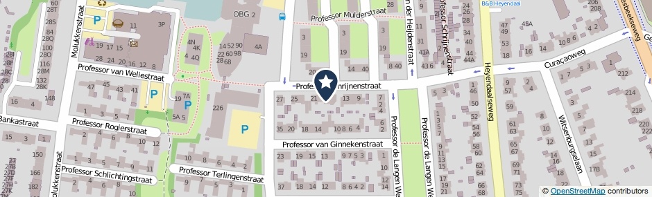 Kaartweergave Professor Schrijnenstraat 17 in Nijmegen