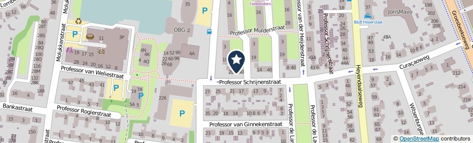 Kaartweergave Professor Schrijnenstraat 18 in Nijmegen