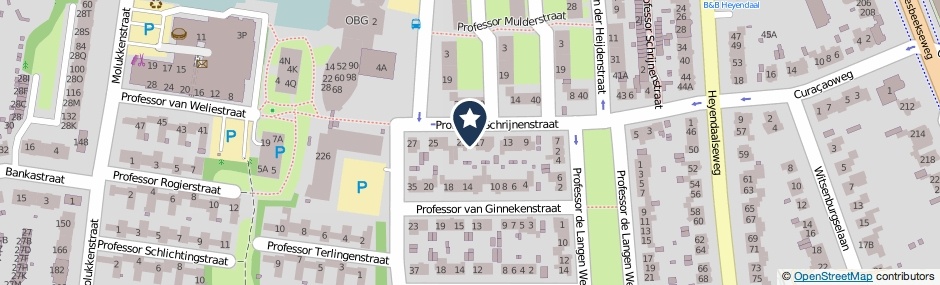 Kaartweergave Professor Schrijnenstraat 19 in Nijmegen