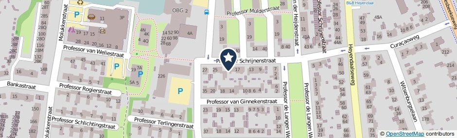 Kaartweergave Professor Schrijnenstraat 21 in Nijmegen