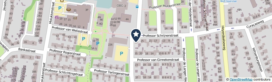 Kaartweergave Professor Schrijnenstraat 27 in Nijmegen