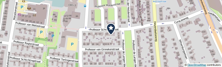 Kaartweergave Professor Schrijnenstraat 9 in Nijmegen