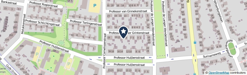 Kaartweergave Professor Van Der Grintenstraat 11 in Nijmegen