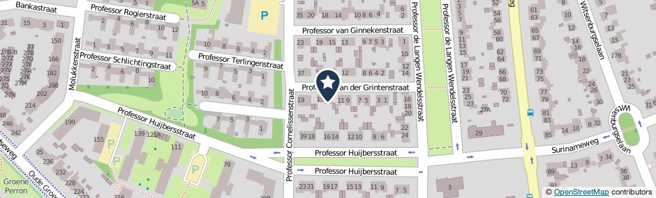 Kaartweergave Professor Van Der Grintenstraat 13 in Nijmegen