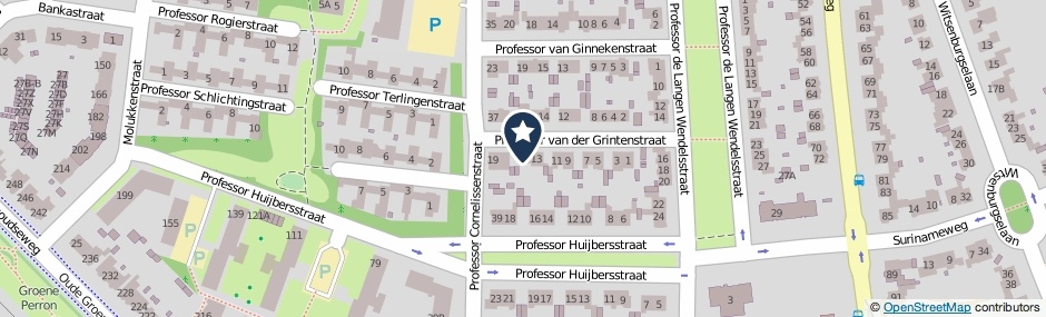 Kaartweergave Professor Van Der Grintenstraat 15 in Nijmegen